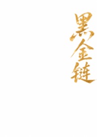 黑金讲的是什么